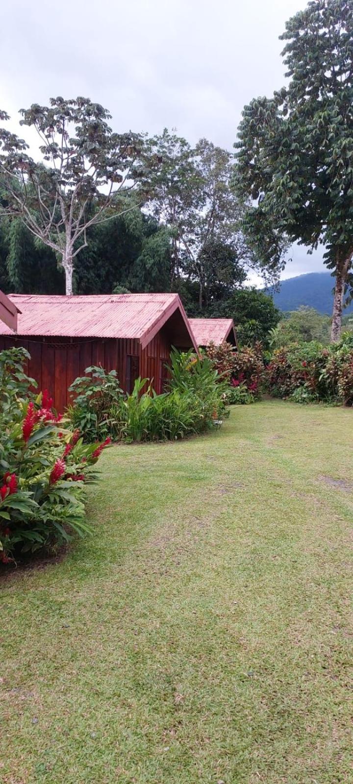Cabinas La Catarata La Fortuna Esterno foto