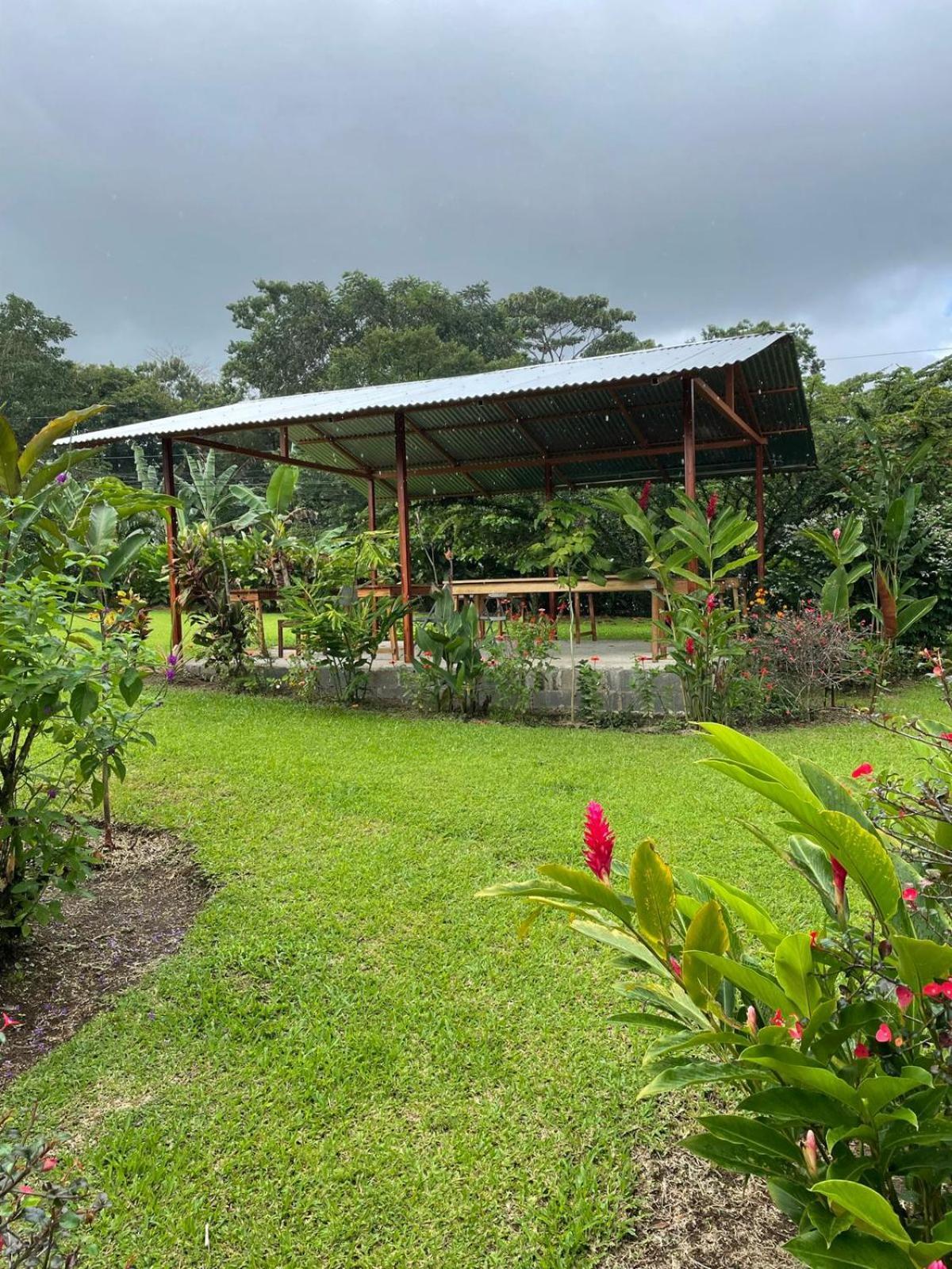 Cabinas La Catarata La Fortuna Esterno foto
